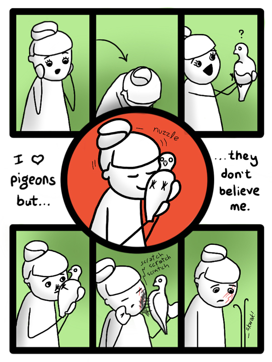 pigeon