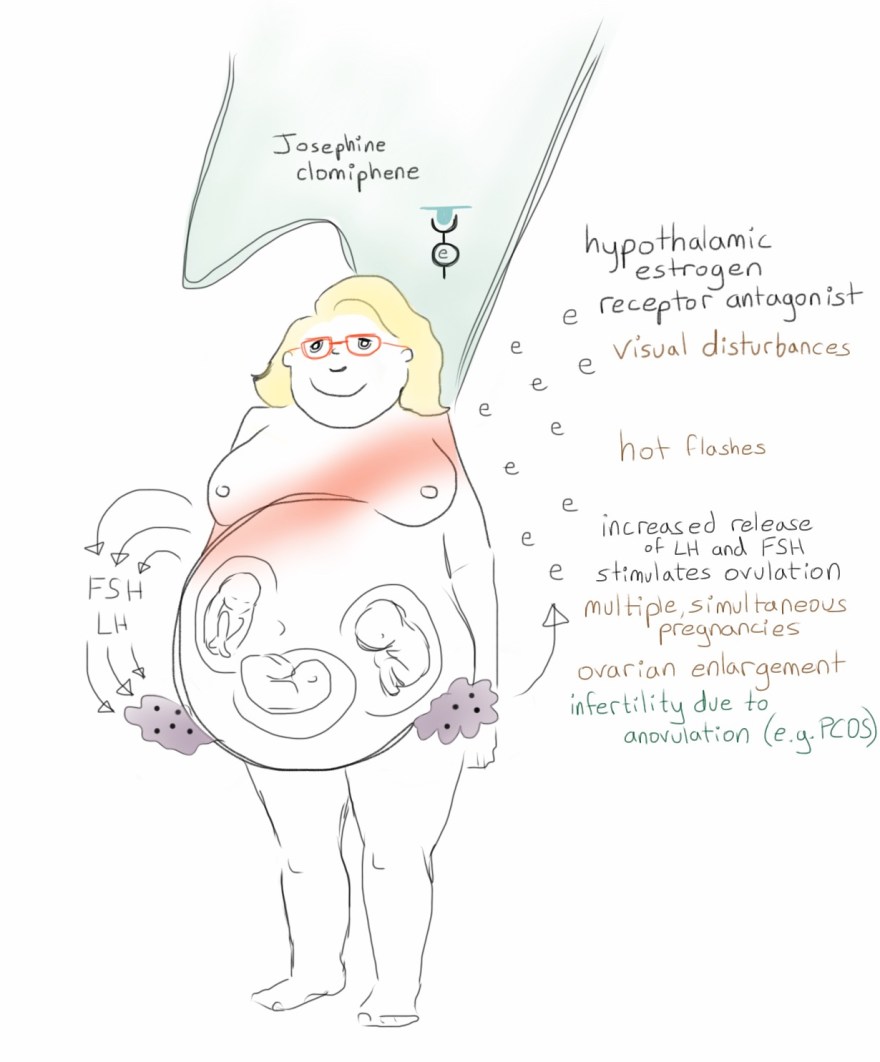 Josephine Clomiphene
