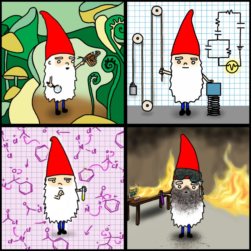 Science Gnome